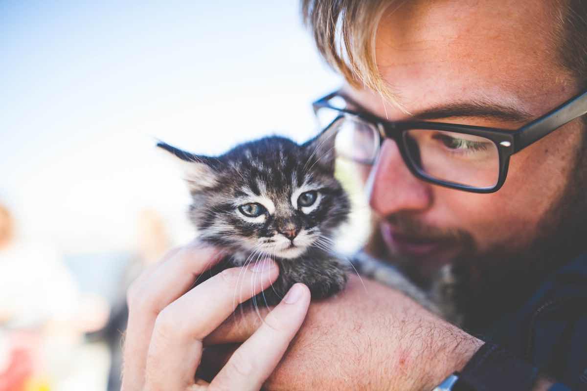 Uomo tiene in mano un piccolo gatto