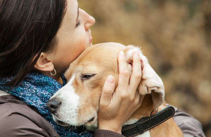 il cane consola la proprietaria