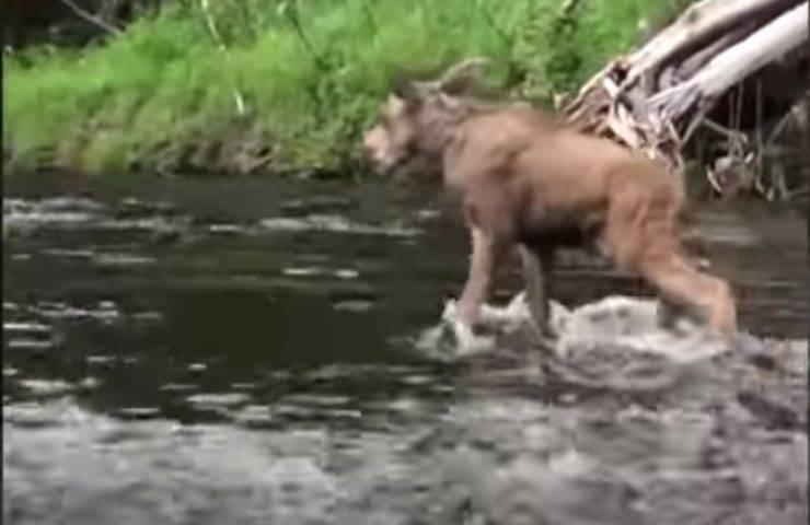 salvataggio in extremis