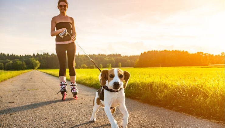 donna con i pattini a rotelle esce con il cane