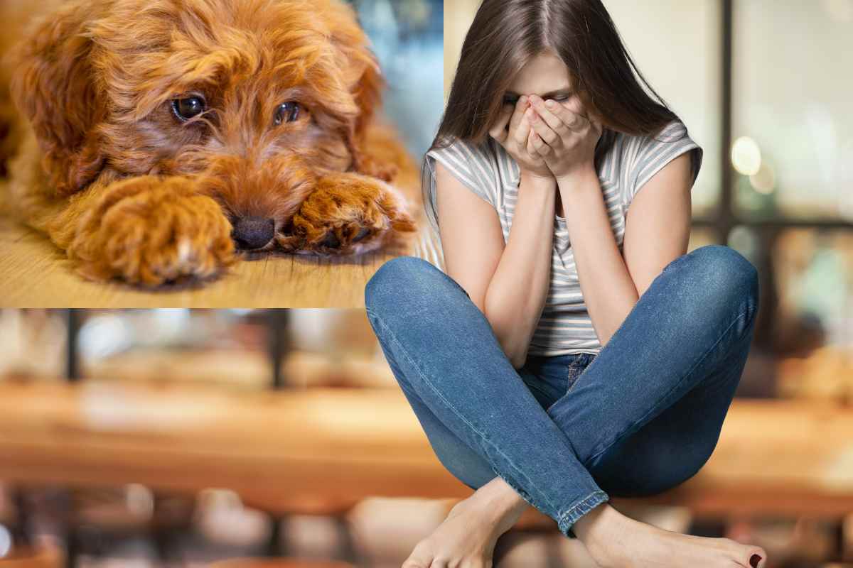 il cane sente la tristezza della proprietaria