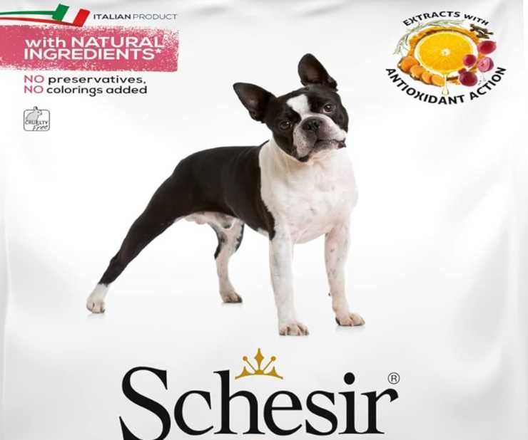 Un cane di piccola taglia guarda in maniera curiosa e il logo della marca dei croccantini