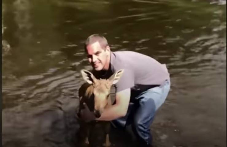 salvataggio in extremis