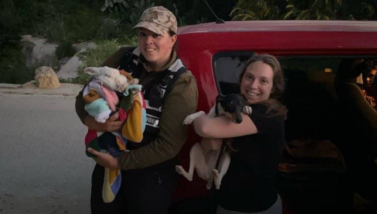 Animali con i loro soccorritori