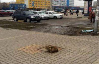 Una fedeltà incondizionata