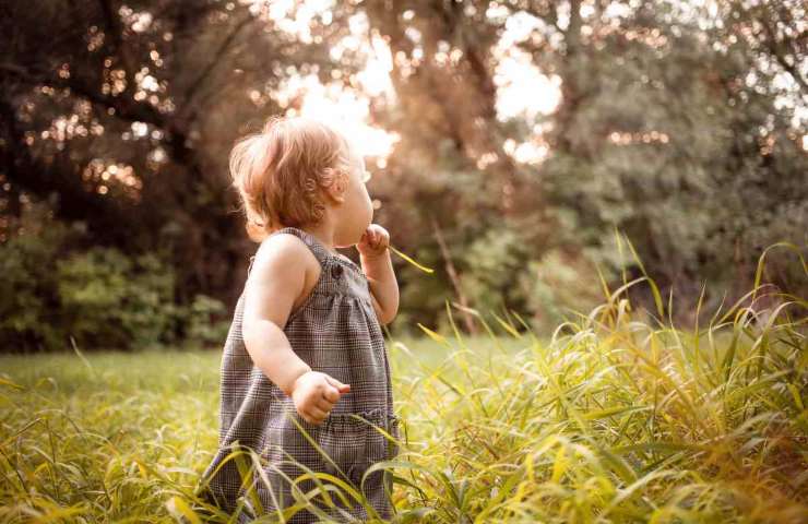 Bambino di 3 anni salvato da un orso bruno