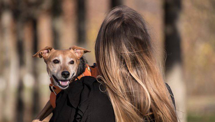 Ragazza cammina con in braccio il suo cane sorridente 