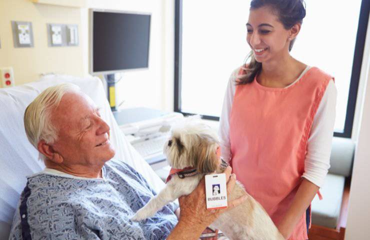 Cane e padrone in ospedale