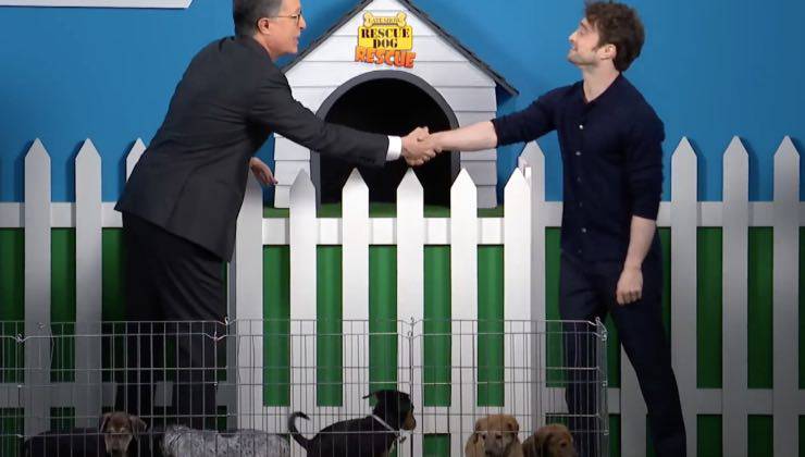 La stretta di mano nella puntata dello show per cani con Daniel Radcliffe