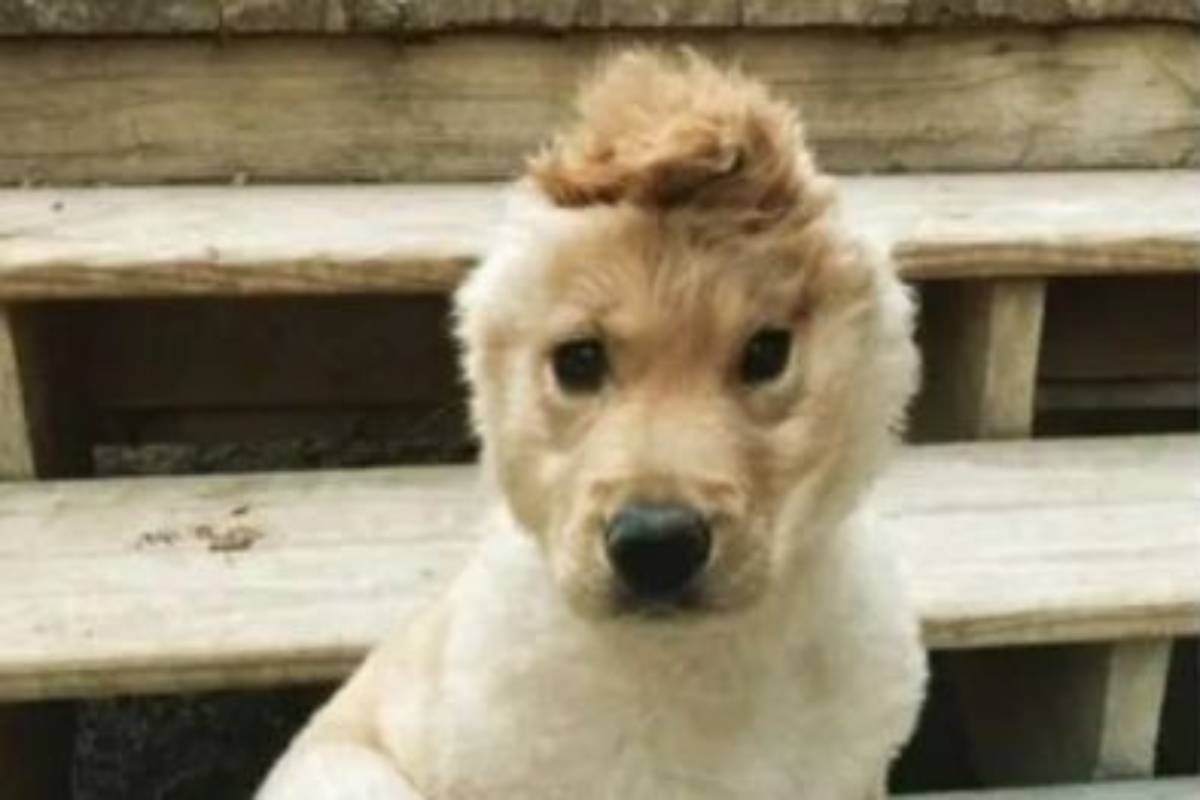 Nato con un handicap che lo rende unico