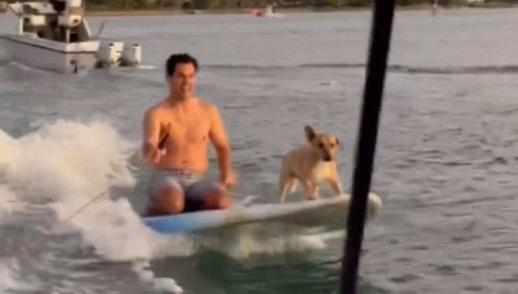 cane fa surf con il suo proprietario