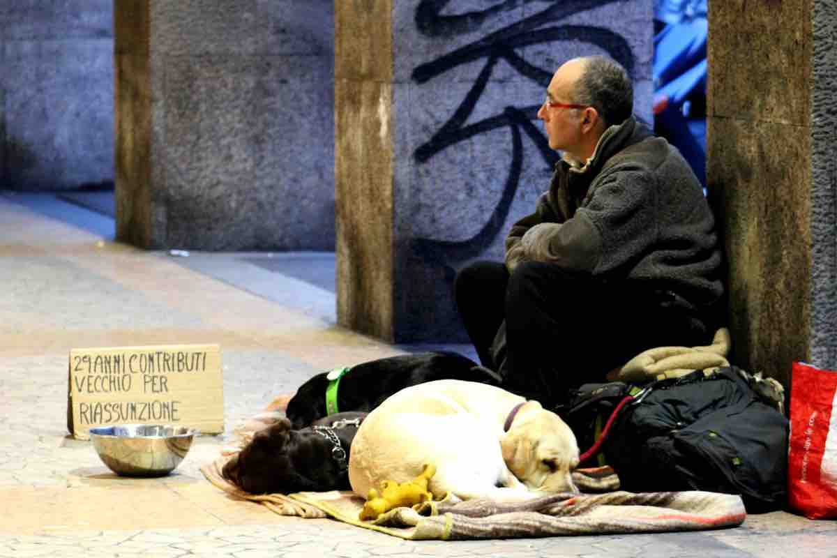 Uomo senza casa seduto con più di un animale in strada