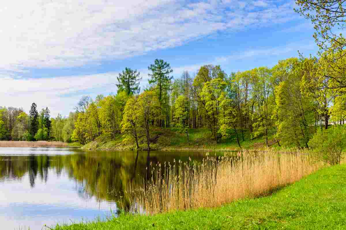 Vede qualcosa in acqua si butta senza esitare