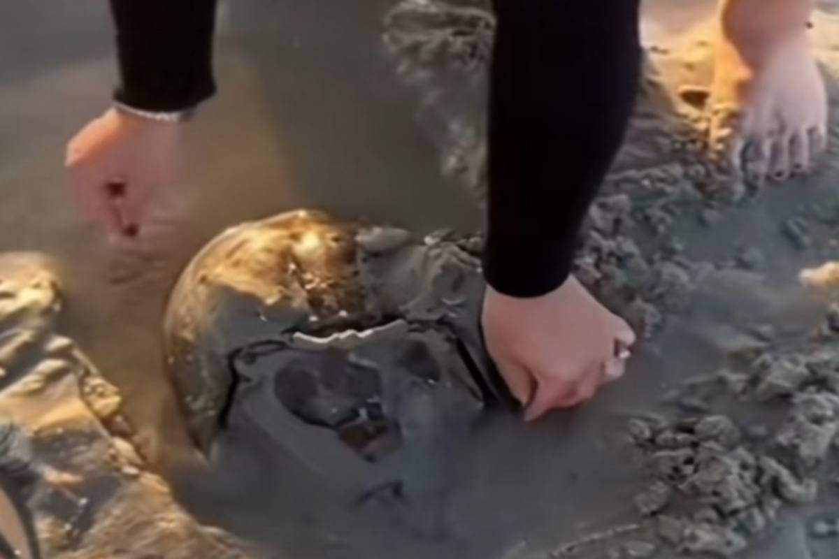 Sembra una pietra ma è invece un animale