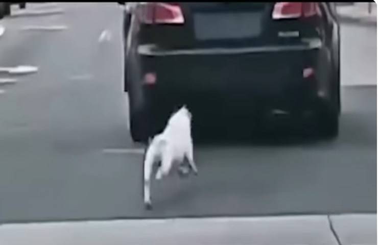 Abbandonato in quel modo incredibile