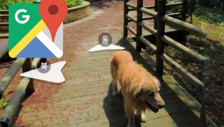 cane fotografato da google maps