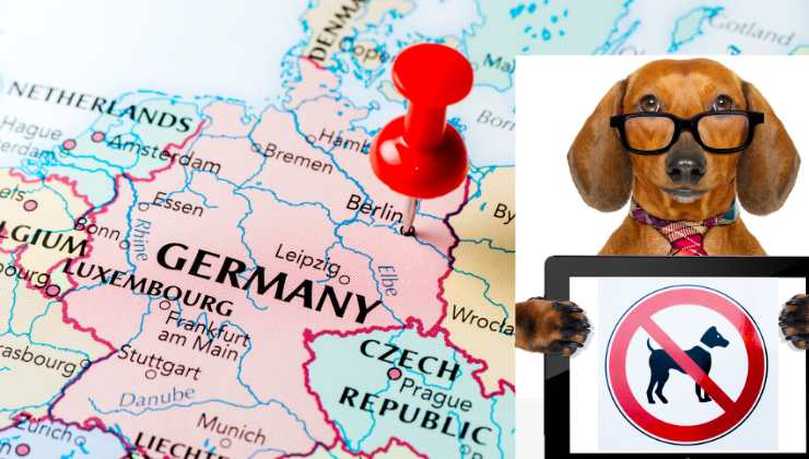 cani bassotti vietati in Germania