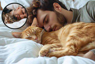 a letto con il gatto