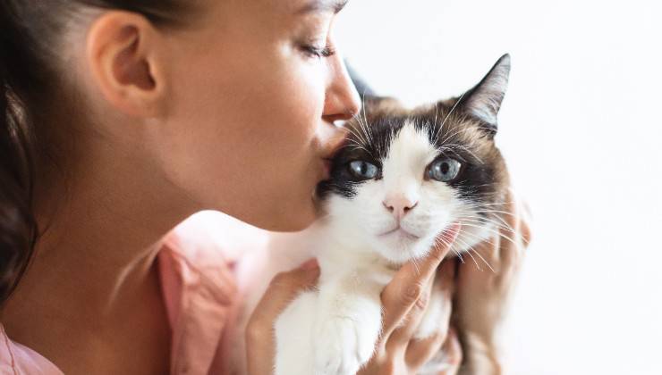 baciare il gatto