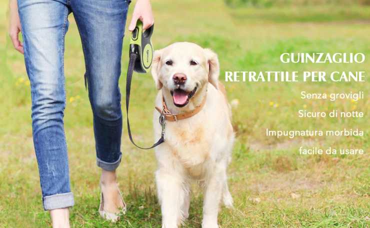 un golden retriever al guinzaglio