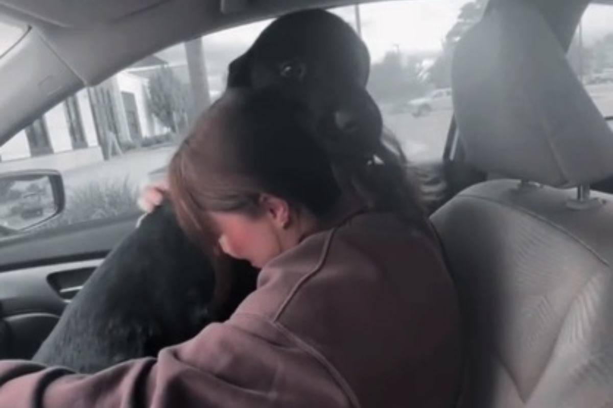 Abbraccio del cane appena adottato