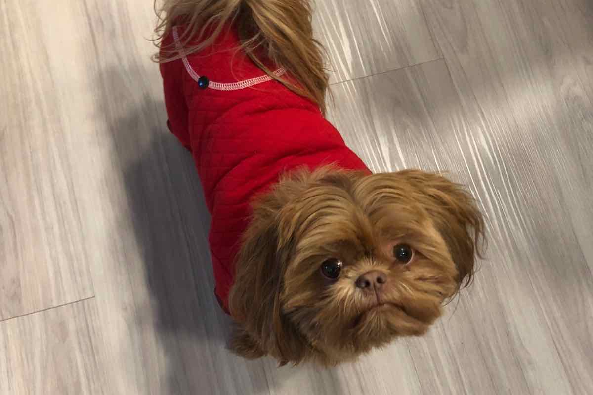 "Io non me ne occuperò": il suo papà lo accoglie in malo modo, ma la situazione cambierà radicalmente