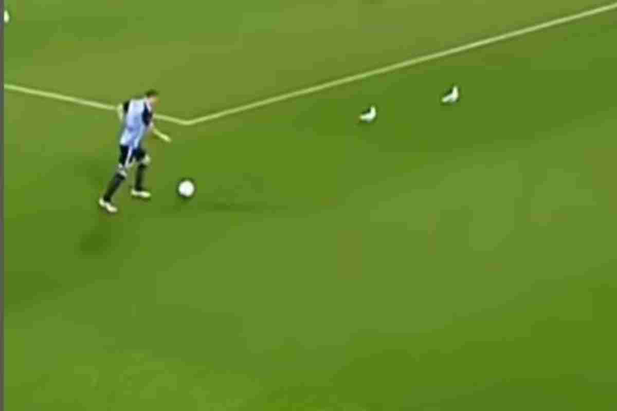 Invasione di campo si trasforma in tragedia, per lui non sembrava esserci alcuna via di scampo, poi il miracolo