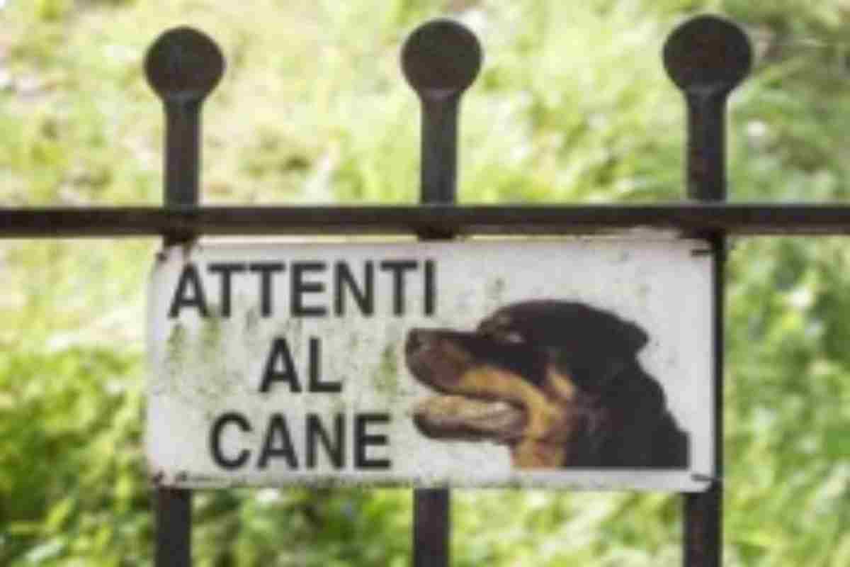 È Obbligatorio esporlo? Cosa dice la legge sul carrello attenti al cane