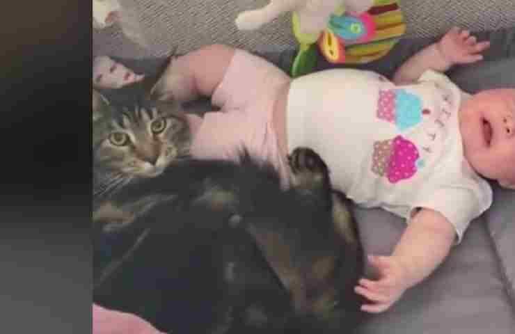 bambina nella culla con il gatto 