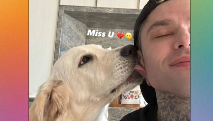 Fedez insieme alla cagnolina Paloma