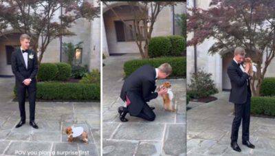lo sposo rimane sorpreso dall'arrivo della cagnolina
