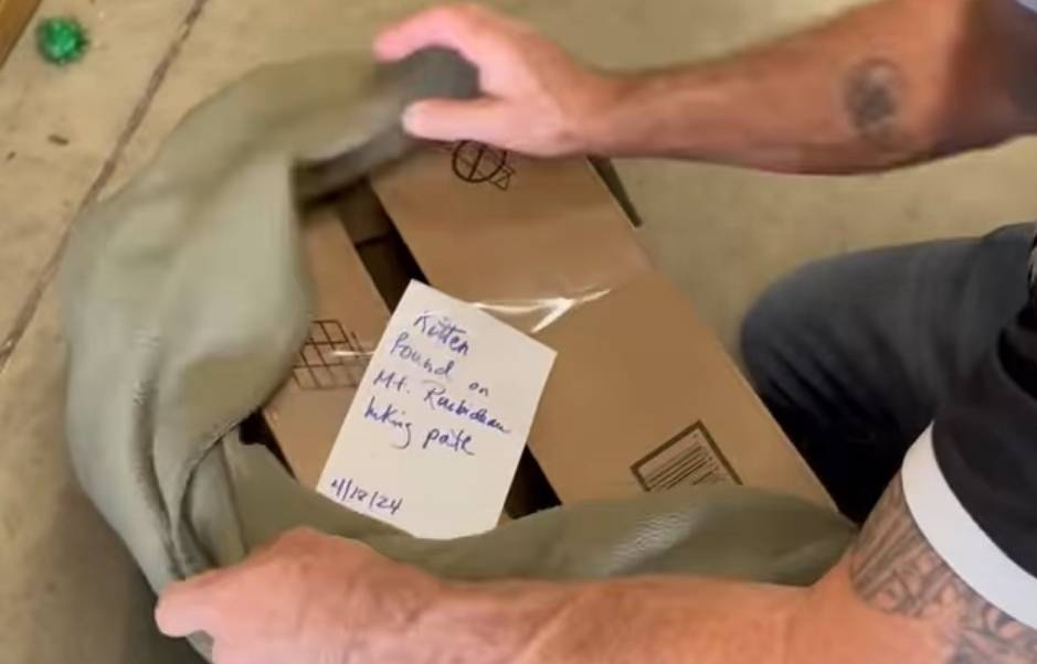 sorpresa scioccante al rifugio 