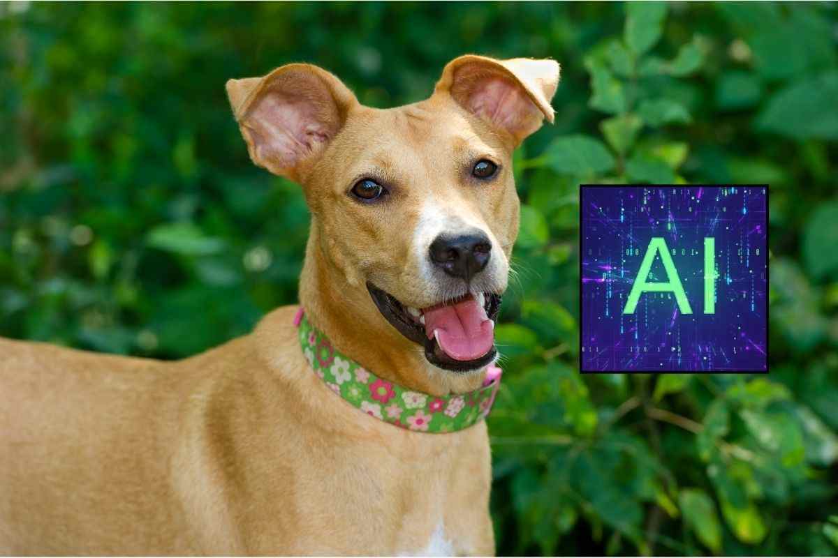 Il cane può parlarci attraverso l'Intelligenza Artificiale?