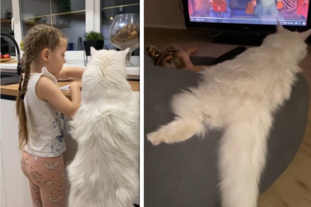 Potrebbe essere paragonato a un bambino, la sua stazza lo ha reso il più grande del mondo