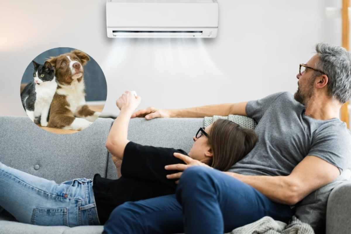 Aria condizionata accesa