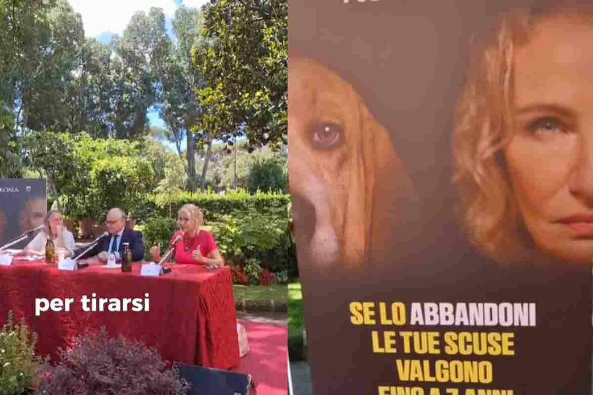 Nessuna giustificazione per chi li abbandona: "Basta scuse, ci vuole il carcere"