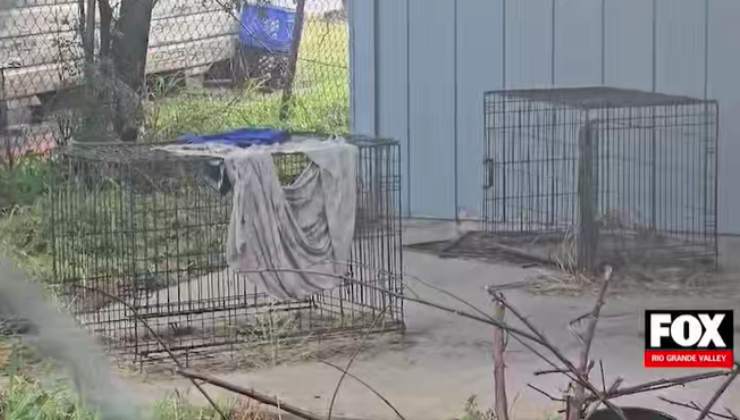 gabbie dove era rinchiuso il cane