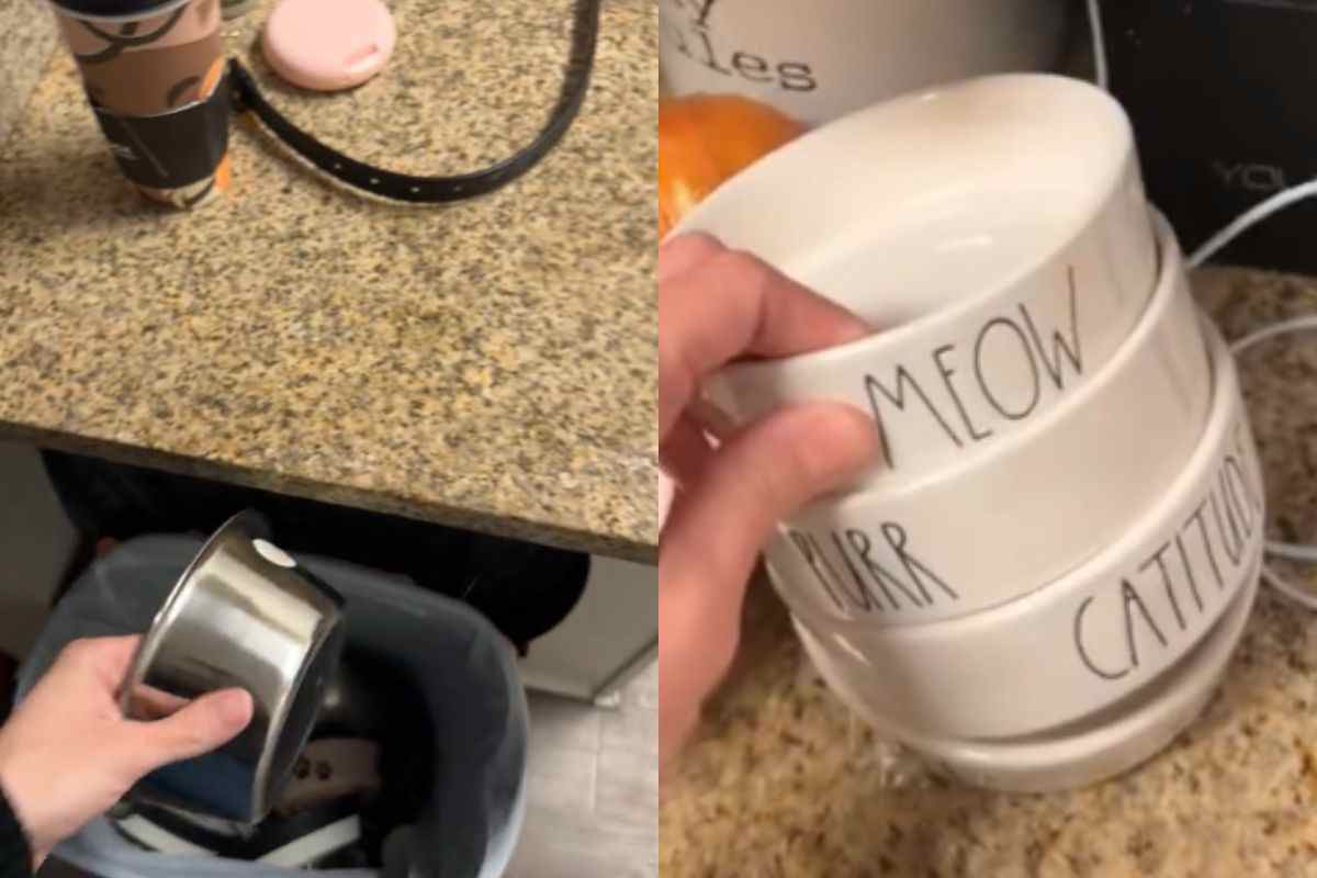 Ciotole per gatti in metallo e ceramica