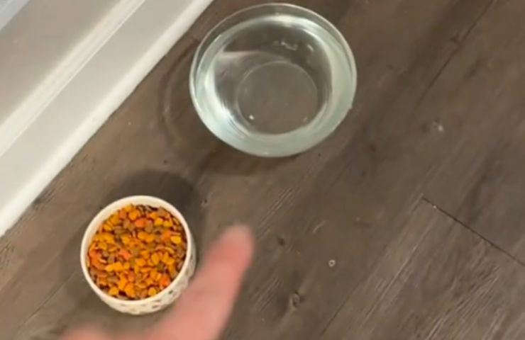 Ciotole in vetro e ceramica