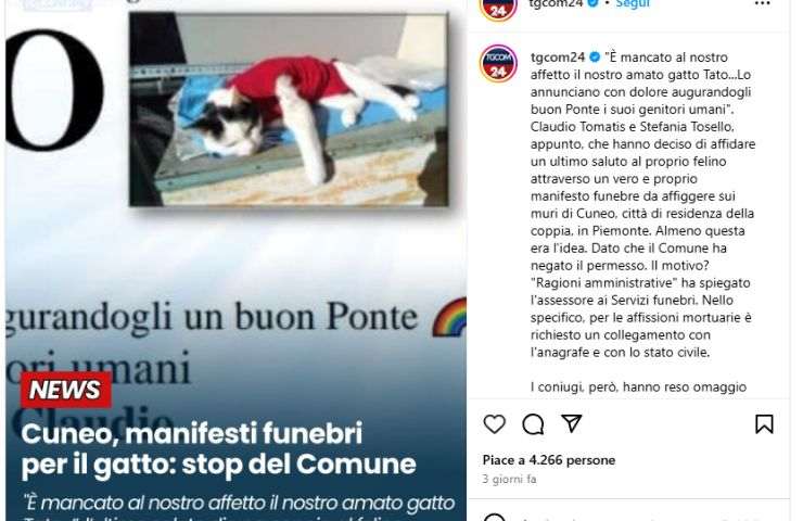 Notizia riportata dal canale social di TGcom24