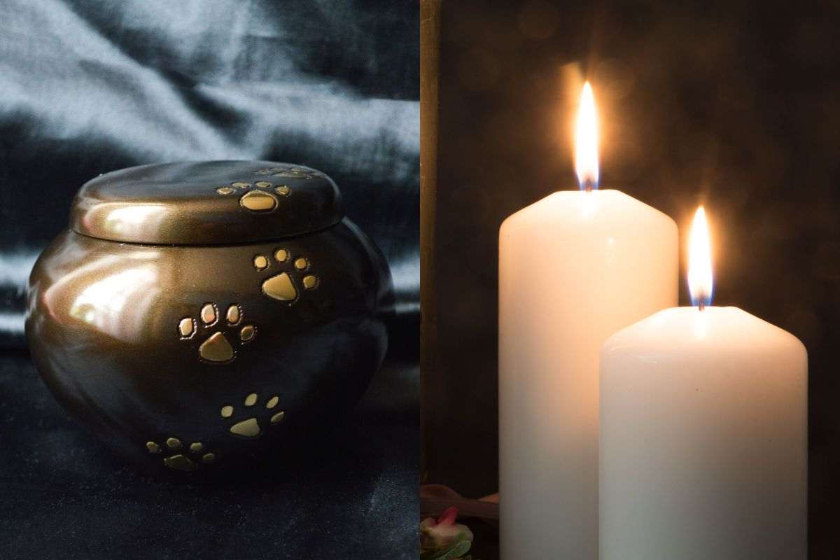 Urna funeraria per il gatto e candele