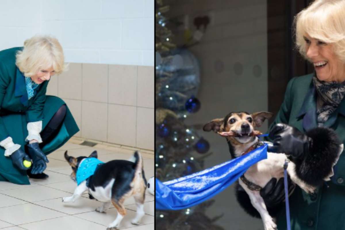 camilla e il suo cane beth