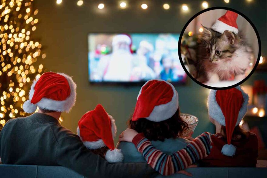 famiglia guarda un film