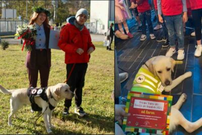 il bambino e il cane