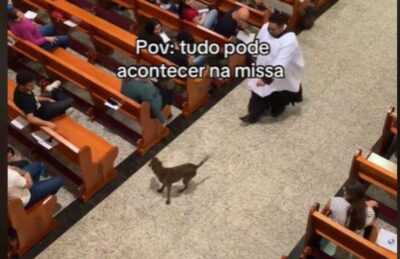 Cane entra in chiesa e cercano di fermarlo