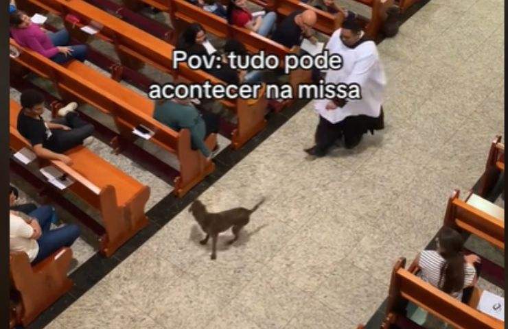 Cane entra in chiesa e cercano di fermarlo