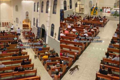 Cane salta e gioca in Chiesa