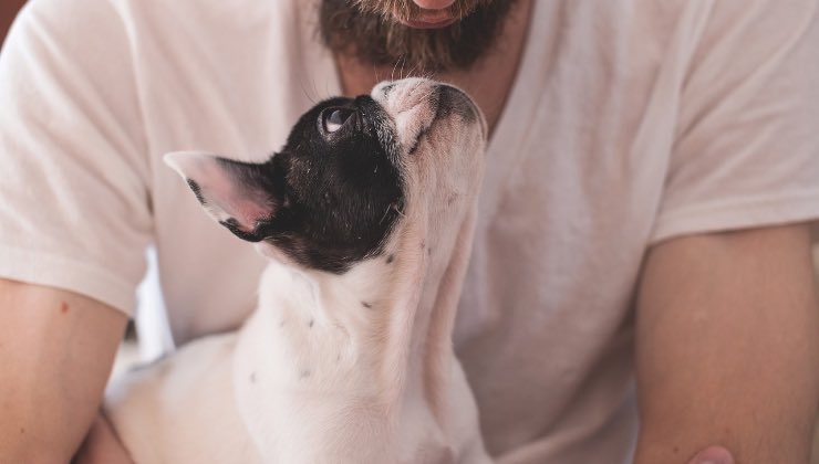 Uomo coccola il suo cane prima di uscire