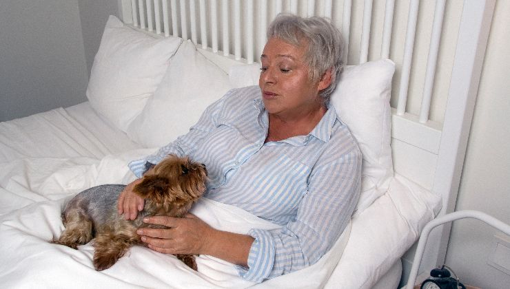 cane con donna a letto malata