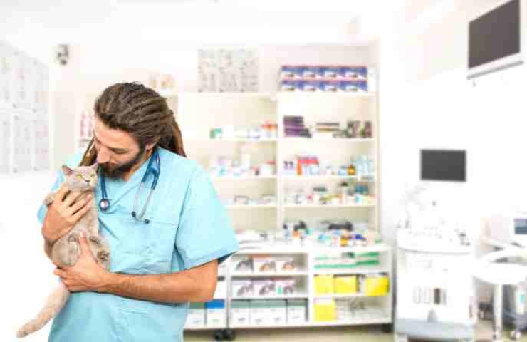 Veterinario con gatto